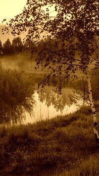 Sepia
