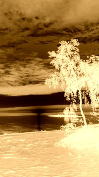 Sepia + Negatyw