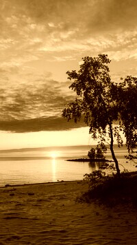 Sepia