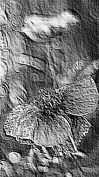 Skamielina