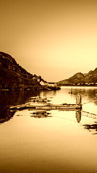 Sepia