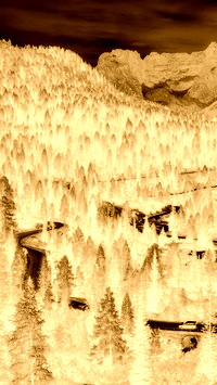 Sepia + Negatyw