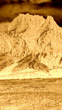 Sepia + Negatyw
