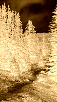 Sepia + Negatyw