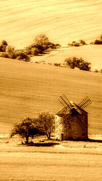 Sepia