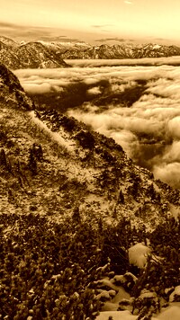 Sepia