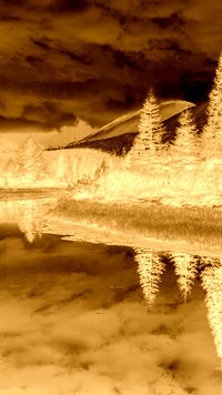 Sepia + Negatyw
