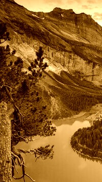 Sepia