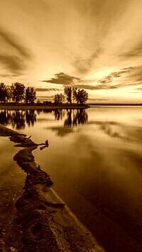 Sepia