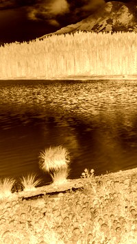 Sepia + Negatyw