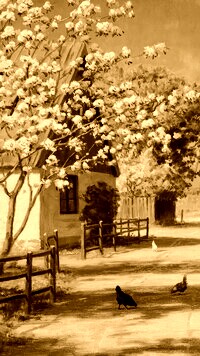 Sepia