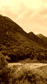 Sepia