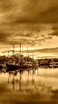 Sepia