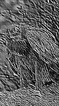 Skamielina