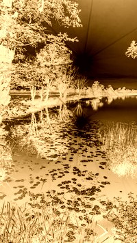 Sepia + Negatyw