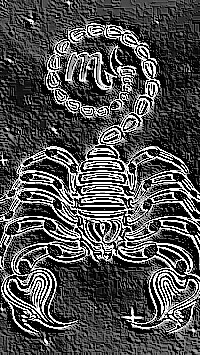 Skamielina