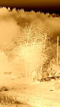 Sepia + Negatyw