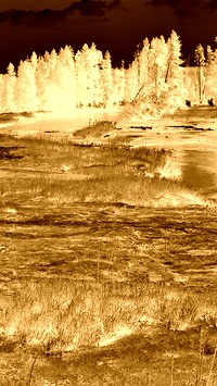 Sepia + Negatyw