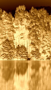 Sepia + Negatyw