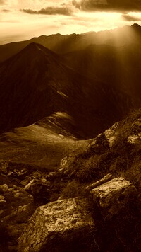 Sepia