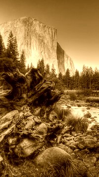 Sepia