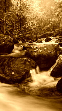 Sepia