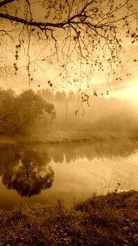 Sepia