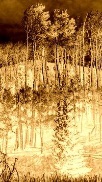 Sepia + Negatyw