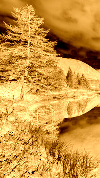 Sepia + Negatyw