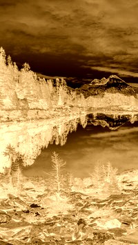 Sepia + Negatyw