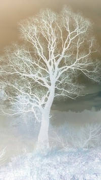 Negatyw