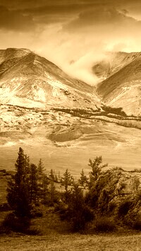 Sepia