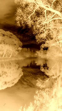 Sepia + Negatyw