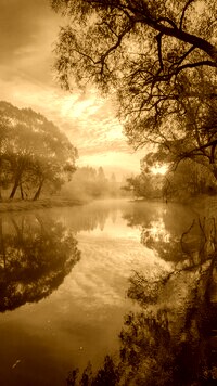 Sepia