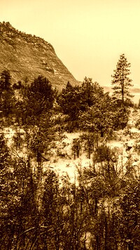 Sepia