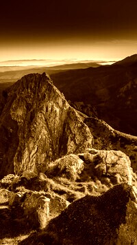 Sepia