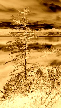Sepia + Negatyw