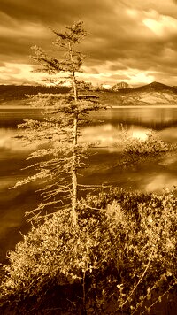 Sepia