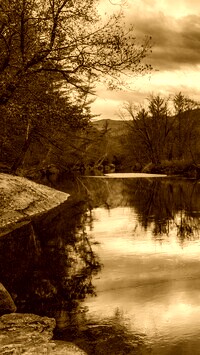 Sepia