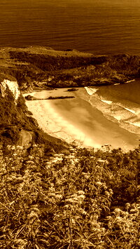Sepia