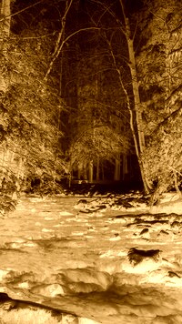 Sepia + Negatyw