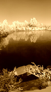 Sepia