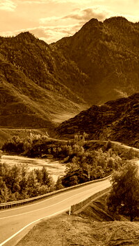 Sepia