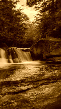 Sepia