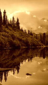 Sepia