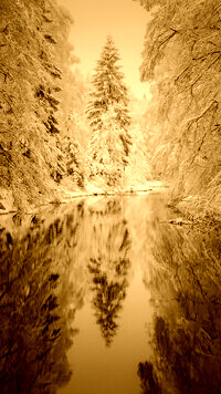Sepia