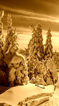Sepia