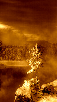 Sepia