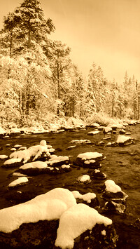 Sepia