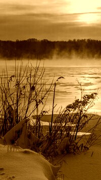 Sepia